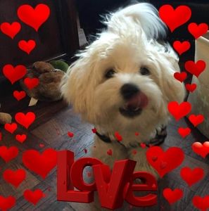 Meet your Posher, Yadirys